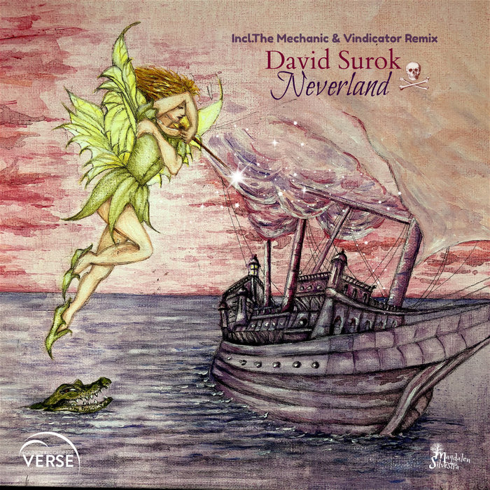 DAVID SUROK - Neverland