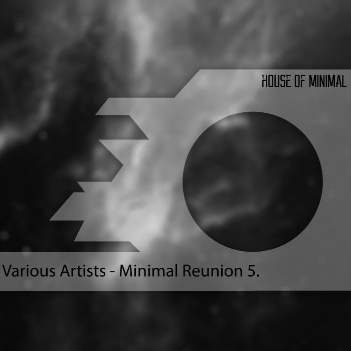 VARIOUS - Minimal Reunion 5