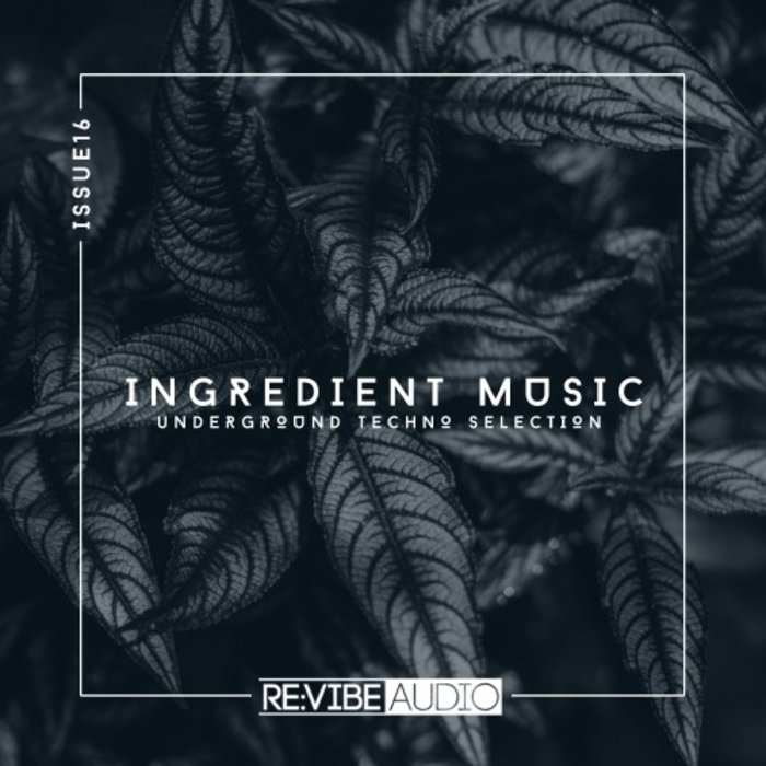 VARIOUS - Ingredient Music Vol 16