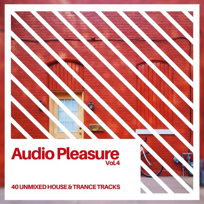 VARIOUS - Audio Pleasure Vol 4