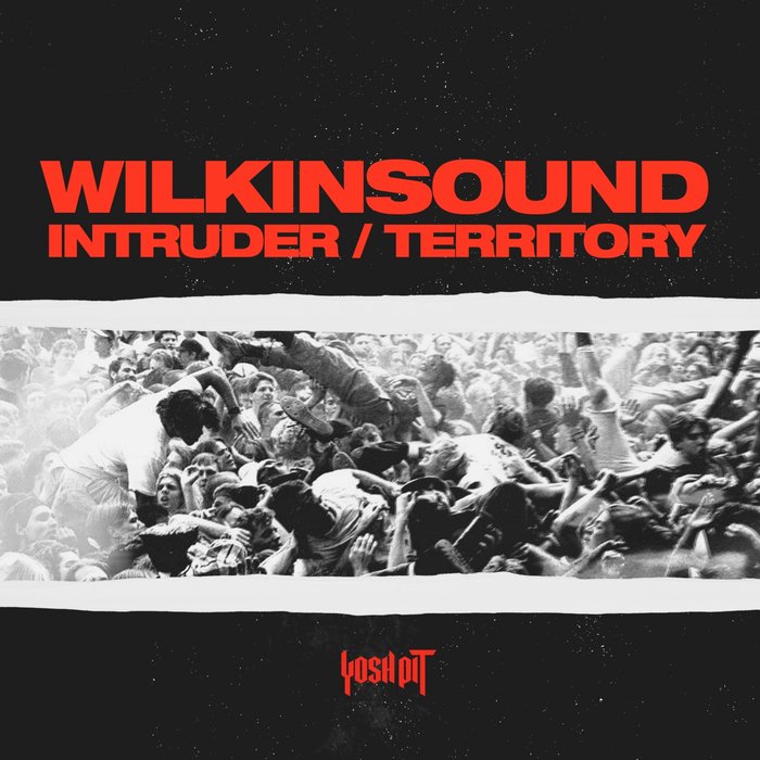 WILKINSOUND - Intruder/Territory