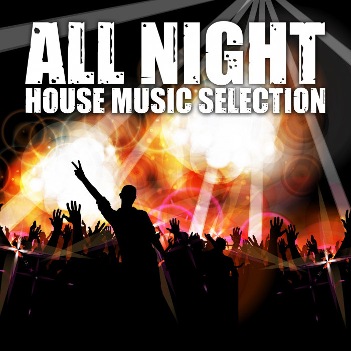 VARIOUS - All Night (House Music Selection)