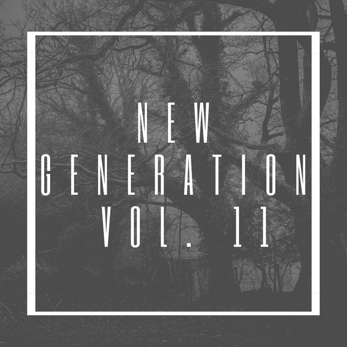 VARIOUS - New Generation Vol 11