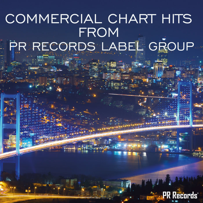 VARIOUS - Commercial Chart Hits From PR Records Label Group