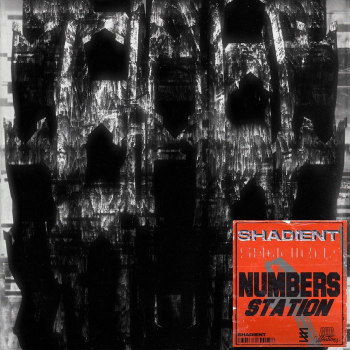 SHADIENT - Numbers Station