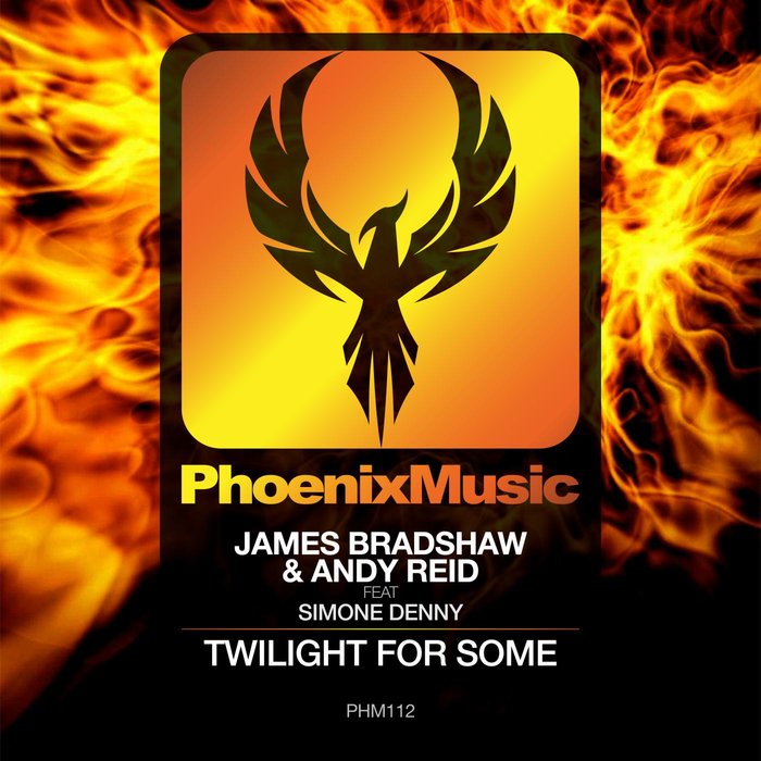 ANDY REID - Twilight For Some