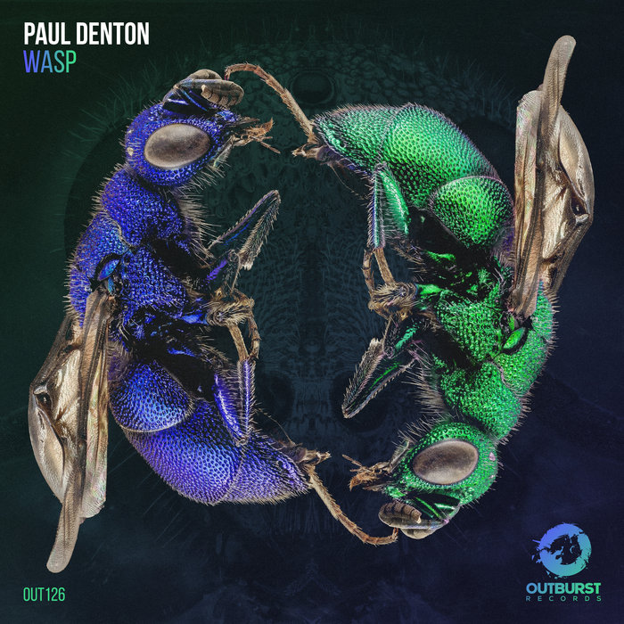 PAUL DENTON - Wasp