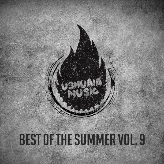 VARIOUS - Best Of The Summer Vol 9