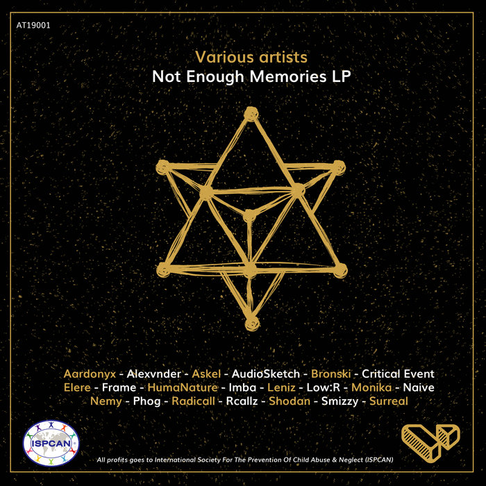 VARIOUS - Not Enough Memories LP