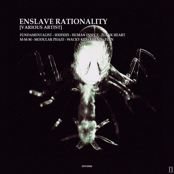 VARIOUS - Enslave Rationality