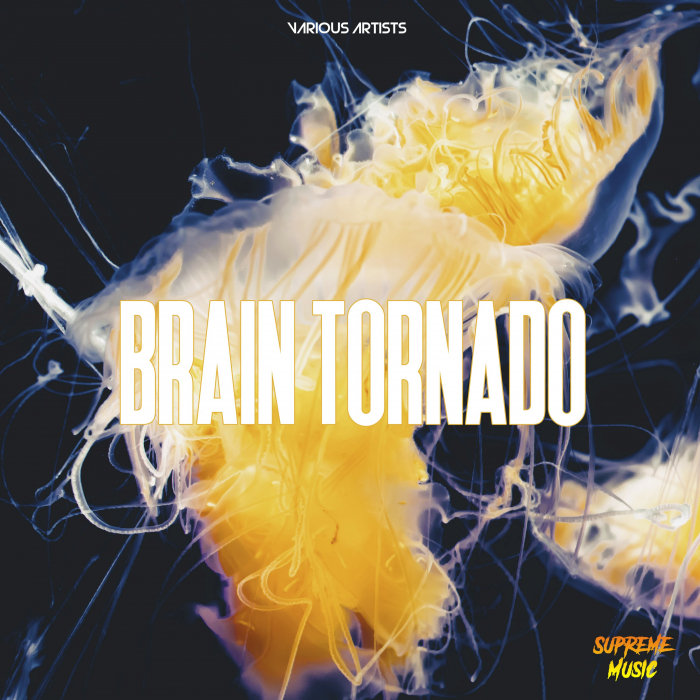 VARIOUS - Brain Tornado