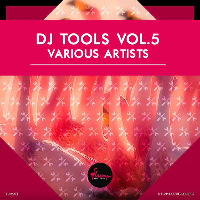 VARIOUS - Flamingo DJ Tools Vol 5