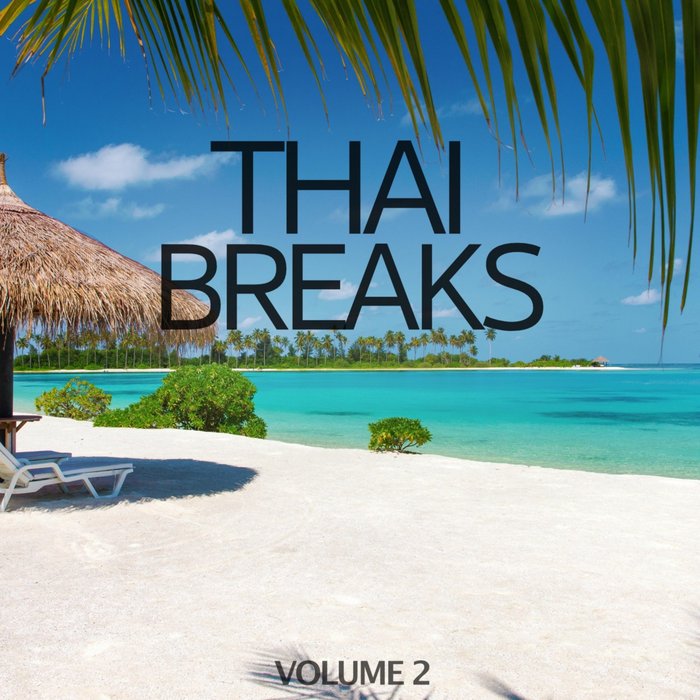VARIOUS - Thai Breaks Vol 2