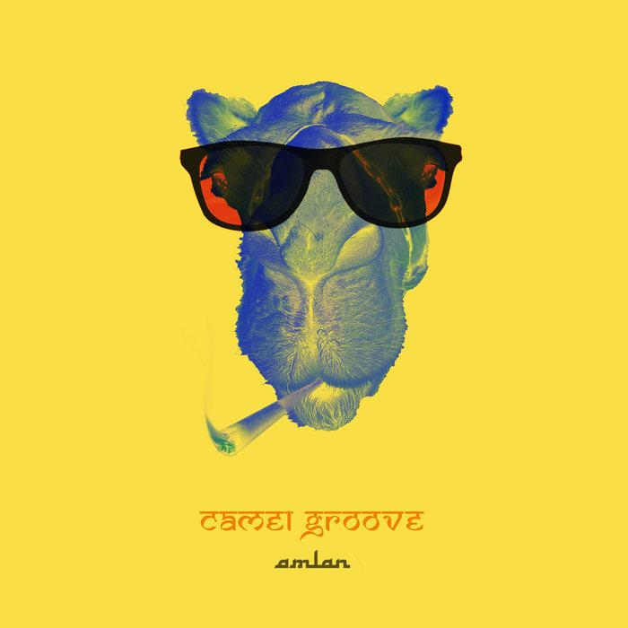 AMLAN - Camel Groove