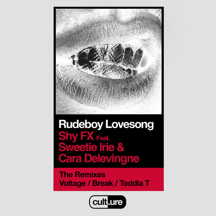 SHY FX feat SWEETIE IRIE/CARA DELEVINGNE - Rudeboy Lovesong (Remixes)