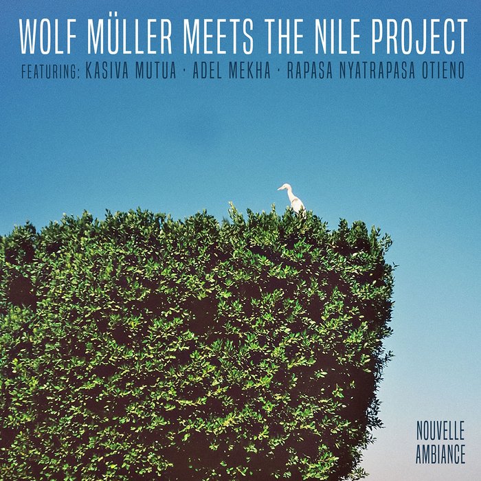 THE NILE PROJECT/WOLF MULLER - Wolf Muller Meets The Nile Project