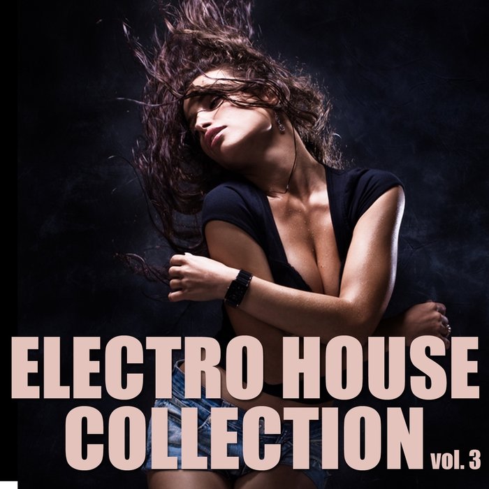 VARIOUS - Electro House Collection Vol 3
