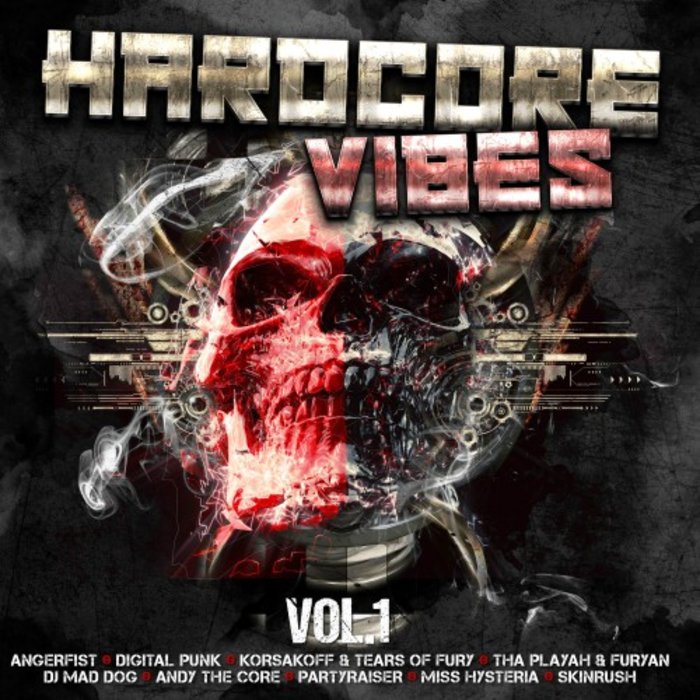 VARIOUS - Hardcore Vibes Vol 1
