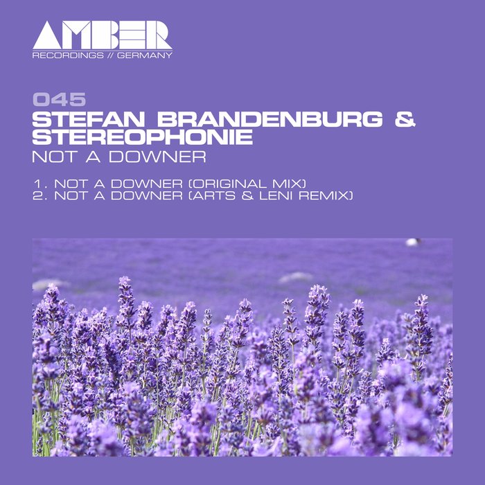 STEFAN BRANDENBURG/STEREOPHONIE - Not A Downer