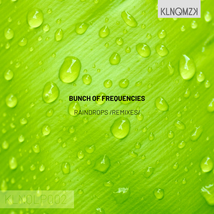 BUNCH OF FREQUENCIES - Raindrops (Remixes)