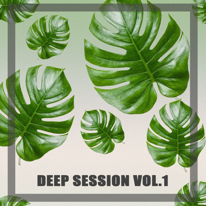 VARIOUS - Deep Session, Vol 1