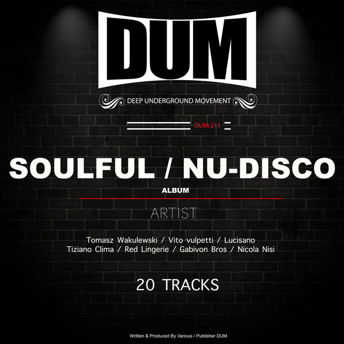 VARIOUS - Soulful: Nu-Disco Album