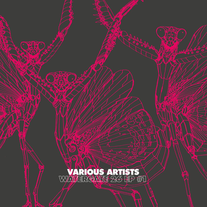 VARIOUS - Watergate 26 EP #1
