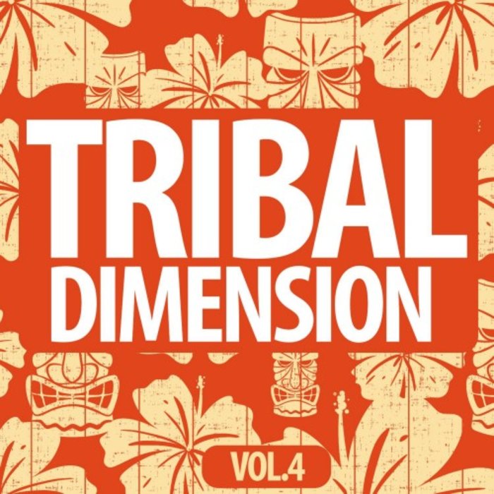 VARIOUS - Tribal Dimention Vol 4