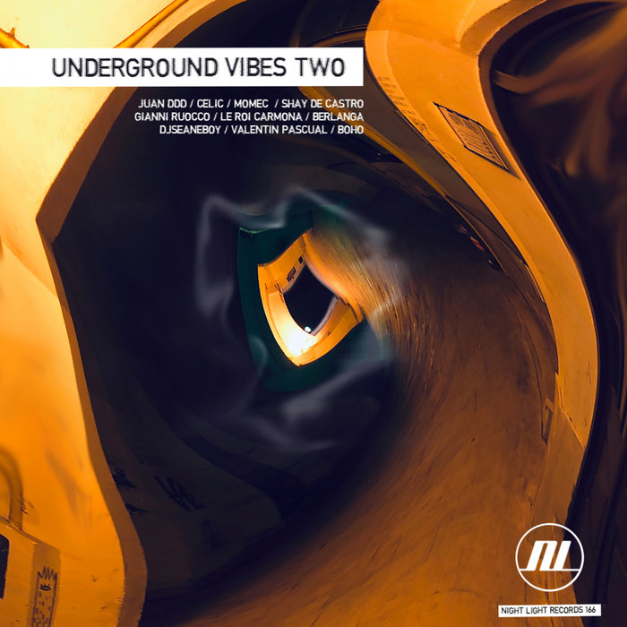 VARIOUS - Underground Vibes Two