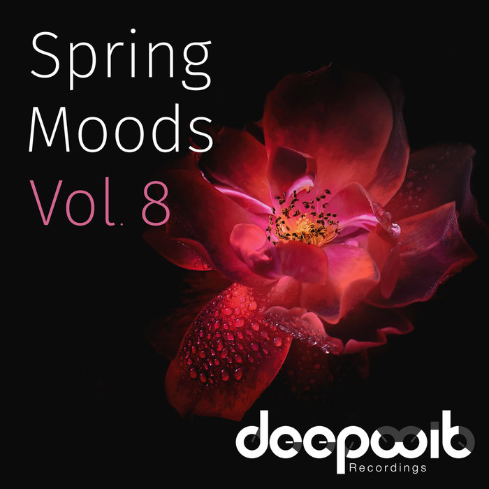 VARIOUS - Spring Moods Vol 8