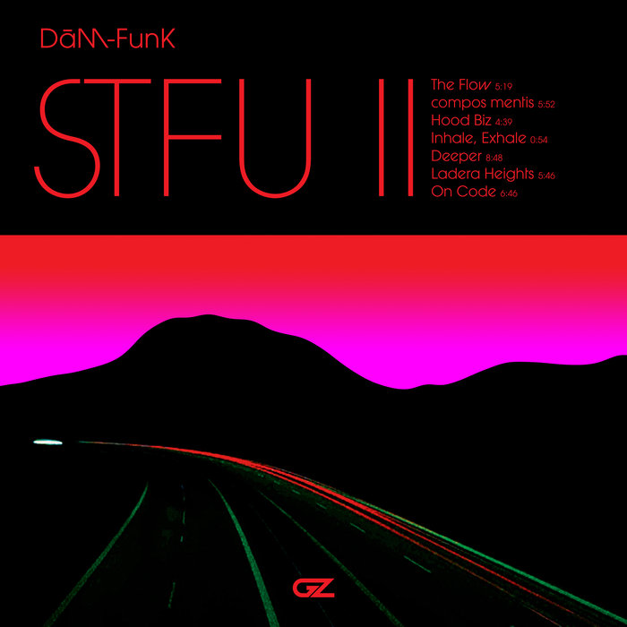DAM-FUNK - STFU II