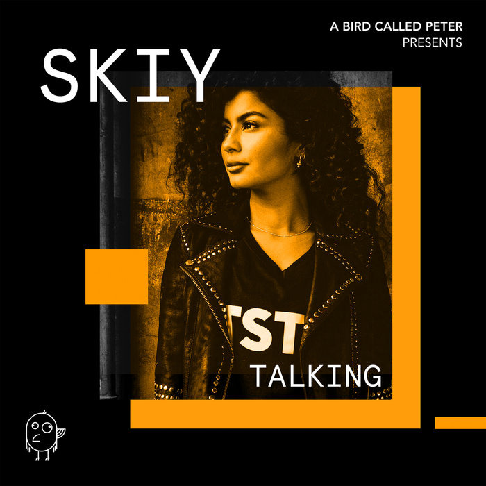 SKIY - Talking