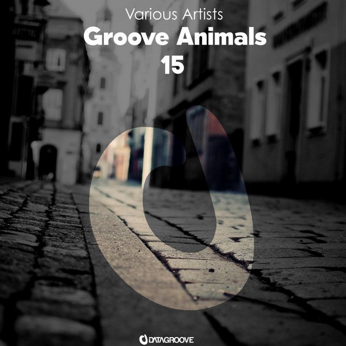 VARIOUS - Groove Animals 15