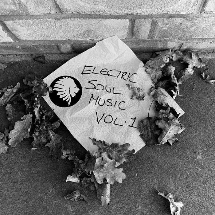 VARIOUS - Electric Soul Music Vol 1