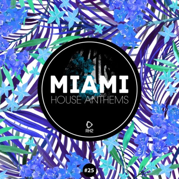 VARIOUS - Miami House Anthems Vol 25