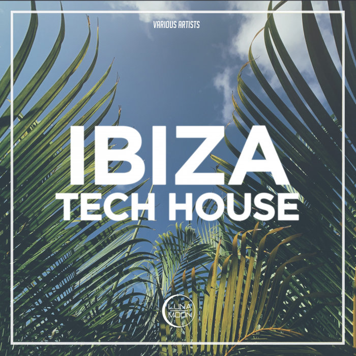 VARIOUS - Ibiza Tech House