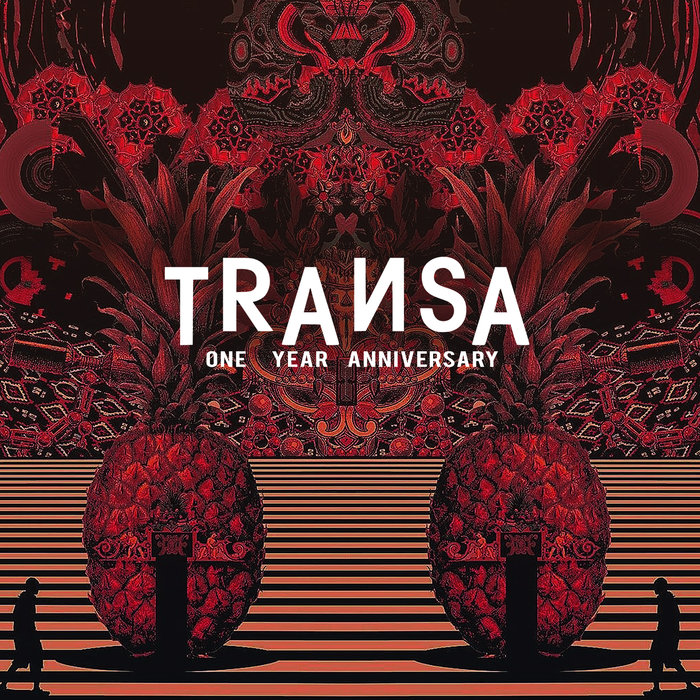 VARIOUS - Transa - One Year Anniversary