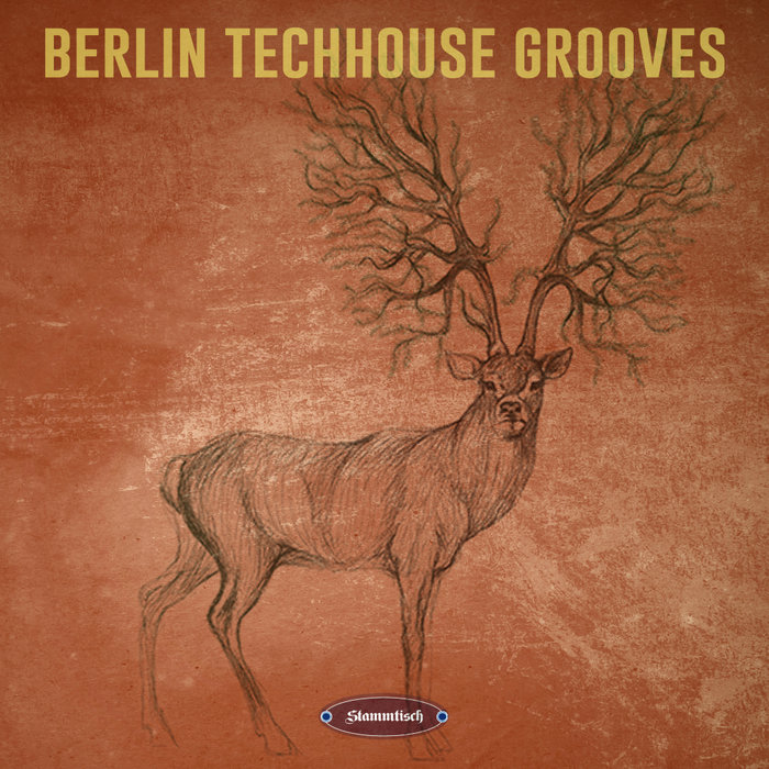 VARIOUS - Berlin Techhouse Grooves