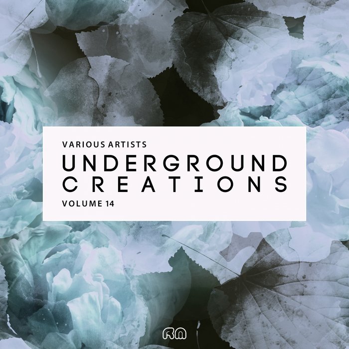 VARIOUS - Underground Creations Vol 14
