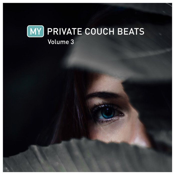 VARIOUS - My Private Couch Beats 3