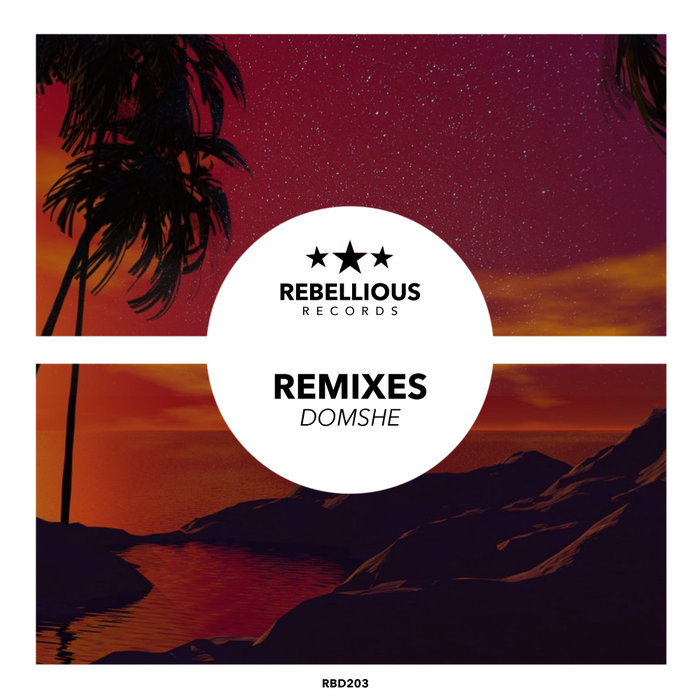 VARIOUS - Remixes