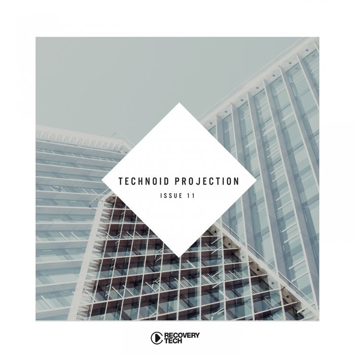 VARIOUS - Technoid Projection Issue 11