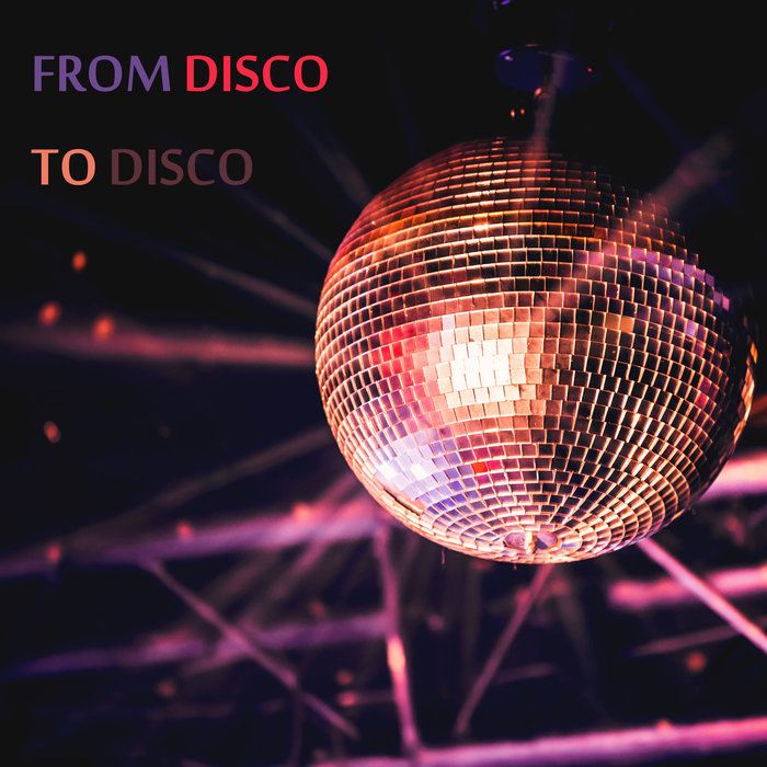 VARIOUS - From Disco To Disco