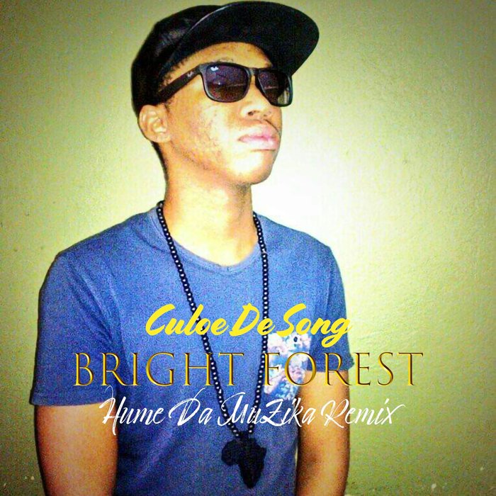 the bright forest culoe de song