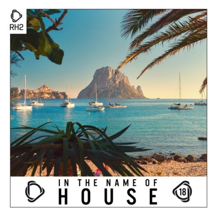 VARIOUS - In The Name Of House Vol 18
