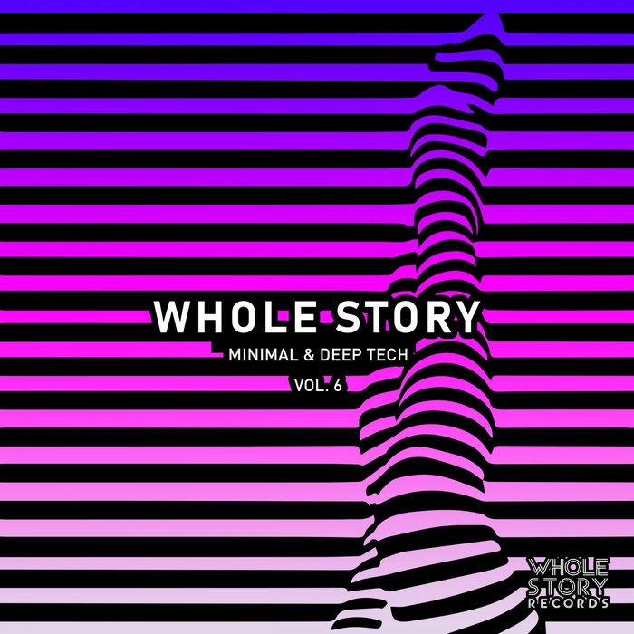 VARIOUS - Whole Story Of Minimal & Deep Tech Vol 6