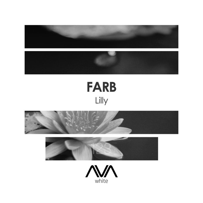 FARB - Lilly