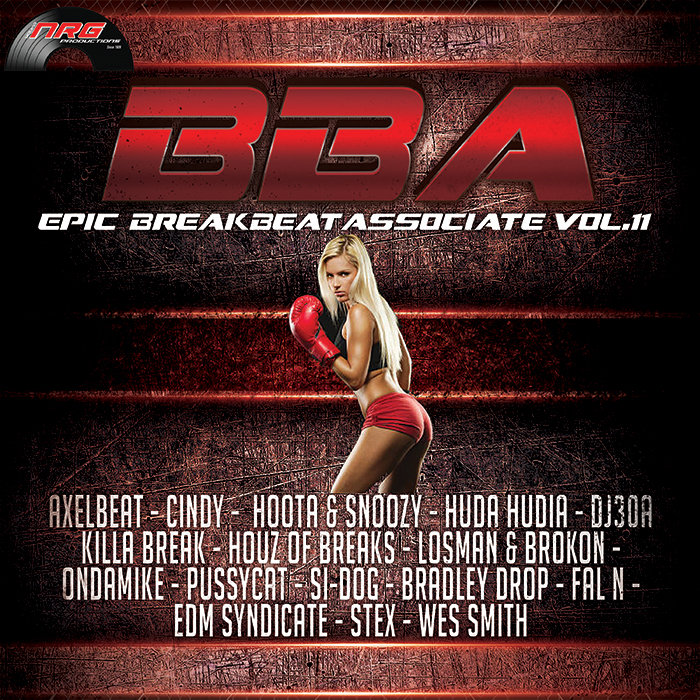 VA - Breakbeat Associate Vol. 11