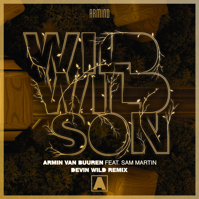 Armin van Buuren feat Sam Martin - Wild Wild Son