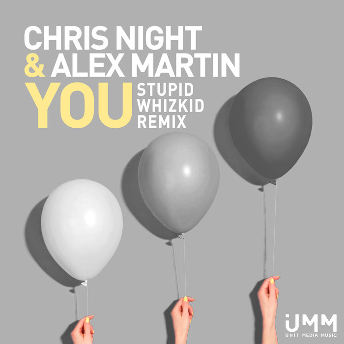 CHRIS NIGHT/ALEX MARTIN - You (Stupid Whizkid Remix)